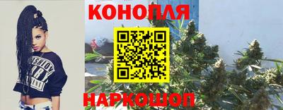мдпв Ставрополь