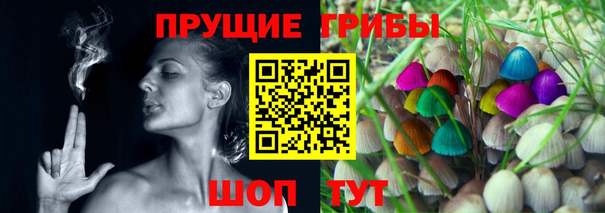 Галлюциногенные грибы Psilocybe  Вход с VPN  Артёмовский 